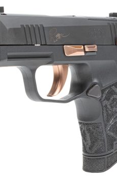 Buy P365 ROSE 380 - Polymer 80 Gun shop
