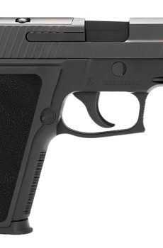 Order P229 ELITE Online - Polymer 80 Gun shop
