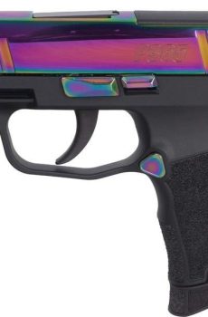 Shop P365-RAINBOW 380 - Polymer 80 Gun shop