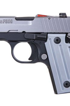 Get P238 TWO TONE CALIFORNIA  Online - Polymer 80 Gun shop