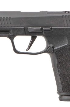 Shop P365-XMACRO COMP - Polymer 80 Gun shop