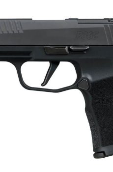 P365-XL COMP 380 - Polymer 80 Gun shop