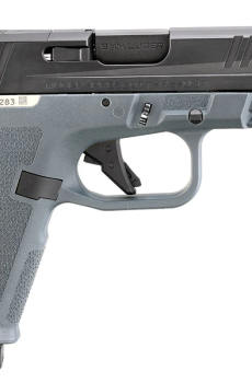 Ruger RXM 9mm Pistol for sale