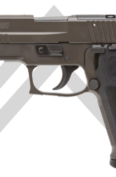 P220 LEGION .45AUTO - Best Price - Polymer 80 Gun shop
