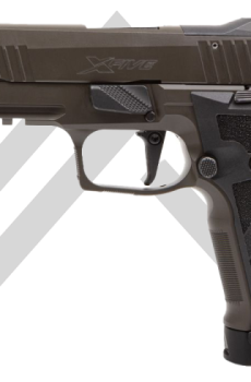 Get P226-XFIVE LEGION Online - Polymer 80 Gun shop