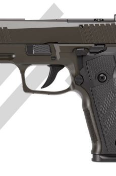 New P226-XCARRY LEGION - Polymer 80 Gun shop