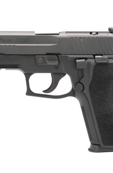 P229 ELITE - Fast Ship - Polymer 80 Gun shop
