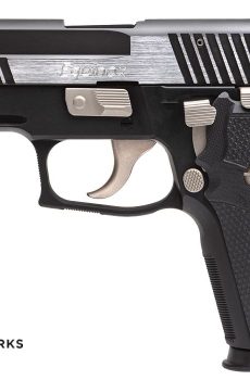 P229 Equinox Elite Compact - Polymer 80 Gun shop