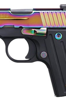 P238 TITANIUM RAINBOW For Sale - Polymer 80 Gun shop