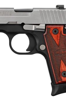 P238 TWO-TONE - Polymer 80 Gun shop