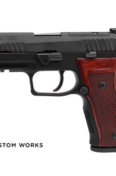In Stock: P320 AXG Classic - Polymer 80 Gun shop