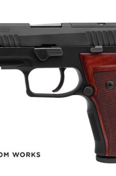 P320 AXG Classic Direct - Polymer 80 Gun shop