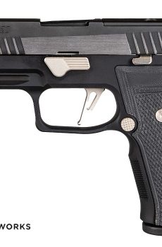 P320 AXG Equinox Direct - Polymer 80 Gun shop