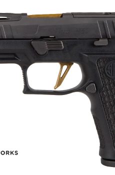 Order P320-XCARRY SPECTRE Online - Polymer 80 Gun shop
