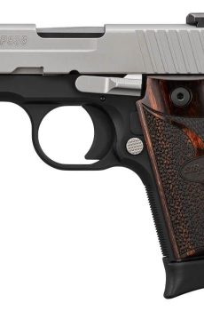 P938 TWO-TONE - Polymer 80 Gun shop
