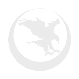 Nighthawk Custom Predator 9mm 1911 - Polymer 80 Gun shop